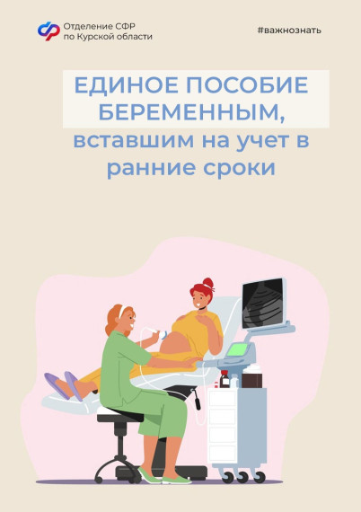 1498 беременных женщин в Курской области получают единое пособие. 1498 беременных женщин в Курской области получают единое пособие.