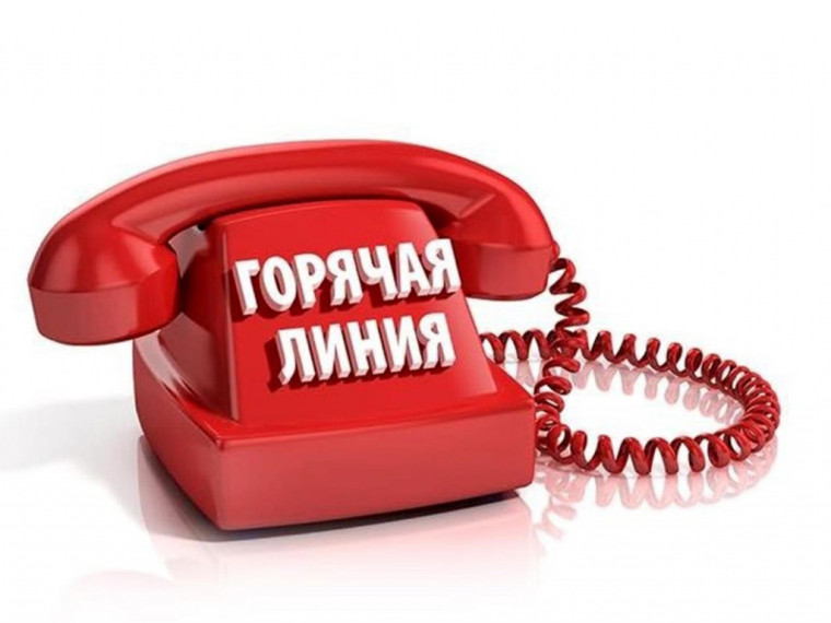О проведении «горячей линии». О проведении «горячей линии».